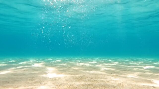 Underwater Paradise: Immerse yourself in the tranquility of an underwater world, where shimmering sunlight dances on the sandy seabed, creating a serene and captivating aquatic experience.