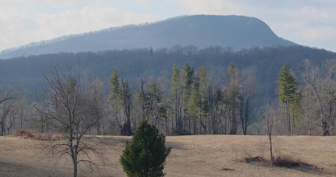 Buffalo Mountain scene from field in early winter.