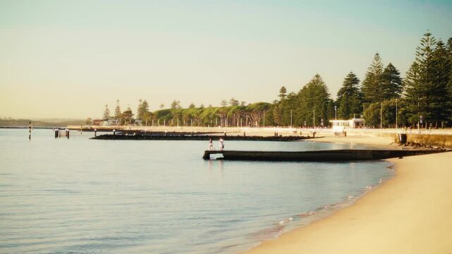 Scenic Panorama of Ramsgate Beach with Pine Trees, Wooden Piles, Pier, Calm Waters and Sandy Shore Beach in Golden Light
