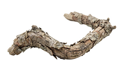 Natural Dry Twisted Tree Branch isolated PNG with Transparent Background