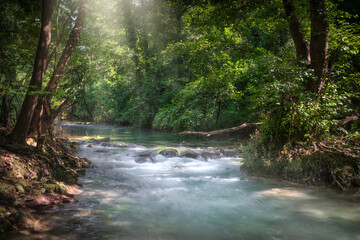 Naklejka premium Elsa River in the Woods along Sentierelsa Trail, Tuscany, Italy