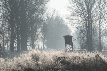 Obraz premium Frosty meadow with hunting tower in misty forest at winter sunrise, bare trees and hoarfrost grass in cold morning landscape