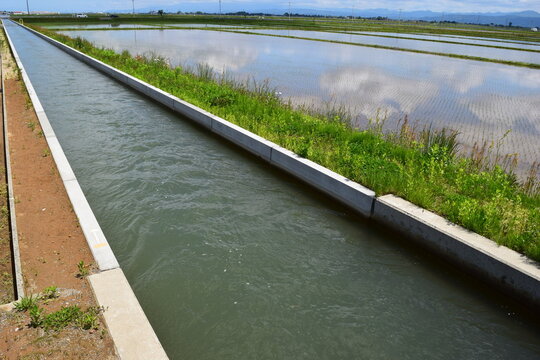 農業用水路 ／ 日本有数の米どころ 山形県庄内