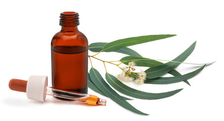 Obraz premium Eucalyptus branch with bottle with essential oil