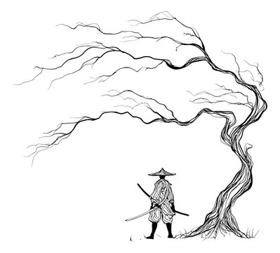 Hand drawn line art illustration of a samurai depicting a lone warrior with a katana under a gnarled tree for Japanese culture and history