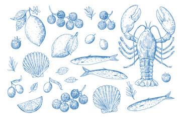 Set of Mediterranean seafood in retro sketchy style. Italian coastal hand drawn monochrome illustration.