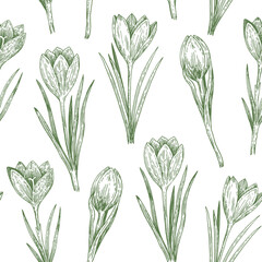 Seamless pattern with crocus flowers in sketchy realistic style. Hand-drawn illustration.