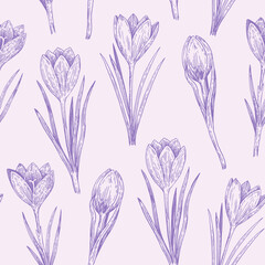 Seamless pattern with crocus flowers in sketchy realistic style. Hand-drawn illustration.