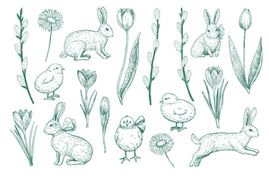 Easter bunny, easter chicken and spring flowers. Monochrome illustrations in retro engraving style.