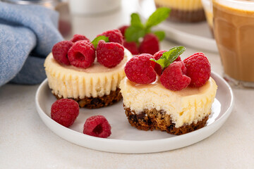 Mini cheesecakes topped with fresh raspberries on a serving plate