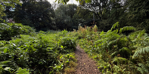Fototapeta premium A narrow dirt path winds through lush greenery, the canopy softening sunlight into gentle shadows in the woods of Ben Rhydding, Yorkshire, UK.