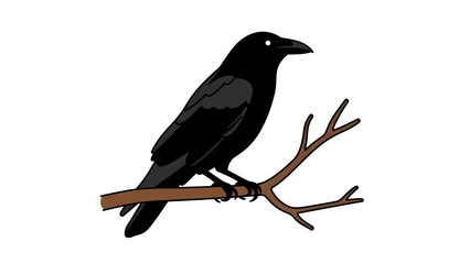 Obraz premium Black Crow Perched on a Twig Vector Illustration, Minimalist Wildlife Art for Nature Themes and Design Projects