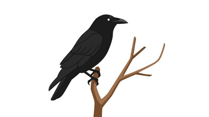 Obraz premium Black Crow Perched on Bare Branch Vector Illustration, Minimalist Style Graphic for Nature and Mystery Themes