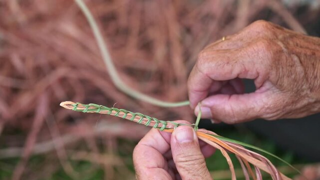 Indigenous Australians female hands weaving artwork.Indigenous Australian women have a rich, unbroken tradition of weaving that connects them to Country, ancestors, and community, with practices for 