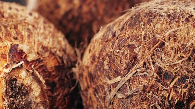 Taro vegetable tubers, Stack of raw, unpeeled tropical taro, Colocasia esculenta, on a market stall