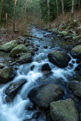 A stream of water flows through a forest with moss growing on the trees. The water is clear and calm, and the rocks in the stream are large and jagged. The scene is peaceful and serene