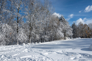 Obraz premium Landscape of South Park in city of Sofia, Bulgaria