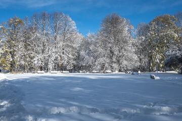 Obraz premium Landscape of South Park in city of Sofia, Bulgaria