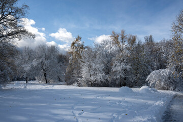 Fototapeta premium Landscape of South Park in city of Sofia, Bulgaria