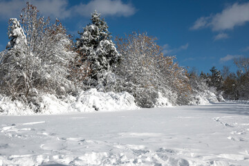 Obraz premium Landscape of South Park in city of Sofia, Bulgaria