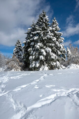 Naklejka premium Landscape of South Park in city of Sofia, Bulgaria