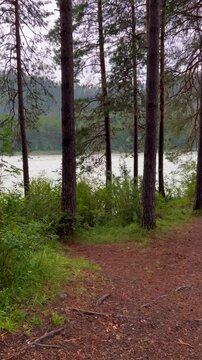 The turquoise mountain river Katun flows through the mountains with rocky islands. Altai Republic, Russia. The water flow. The slopes of the mountain ranges in the valley are covered with forests.4К