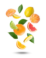 Obraz premium Different fresh citrus fruits falling on white background
