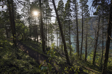 Sunlight filtering through a lakeside forest trail
