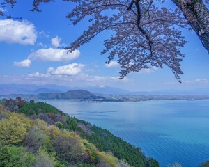 満開の桜越しに望む春の琵琶湖と残雪の伊吹山の絶景 滋賀県 日本の風景