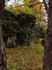 This vertical landscape photograph captures a serene moment deep within an autumn forest, featuring a massive limestone cliff face draped in vibrant green moss. The composition is expertly framed by