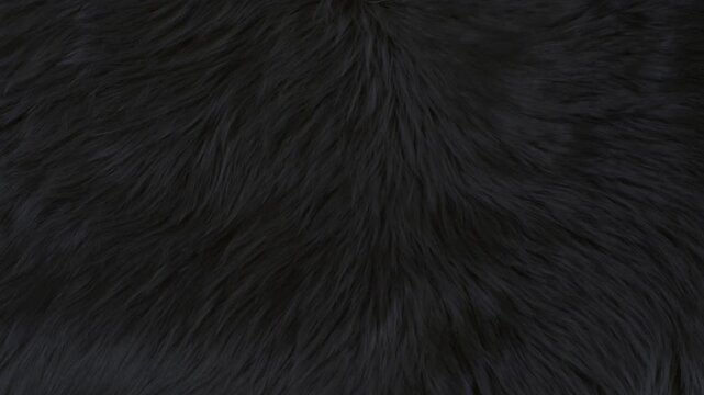 Waving Real Black Animal Fur Texture Background in Slow Motion, 1000fps.