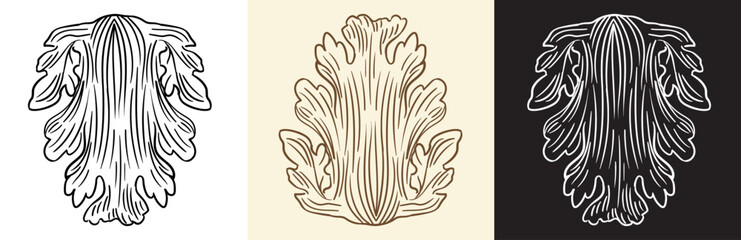 Set of engraving antique leaves design element and illustration