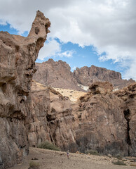 escultura hecha por la naturaleza donde se puede ver el contorno de ojos , nariz , boca y pera , las orejas y como un gorro . una esfinge mirando y cuidando el ca&ntilde;adon 