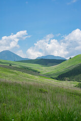 夏の長野県諏訪市にある霧ヶ峰の踊場湿原
