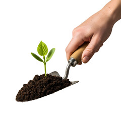 Seedling in hand with garden trowel isolated on transparent background