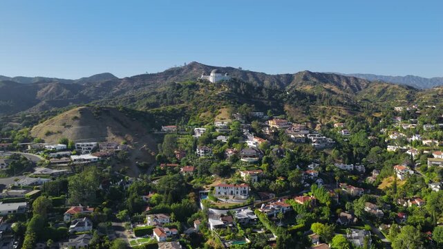 Drone aerial view of residential neighborhoods and Griffith observatory across green hills with dense homes, winding streets and mountain ridges surrounding Los Angeles California, clear blue sky