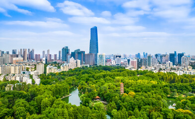 Obraz premium Wuhan City Skyline and Green Forest Landscape