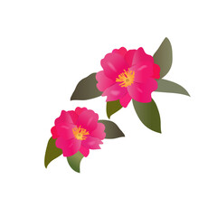 さざんか（山茶花）のイラスト