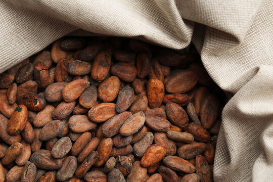Fresh cocoa beans in sack, top view
