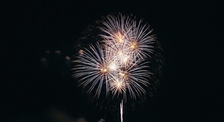 Obraz premium Fireworks Explosion Bright Night Sky