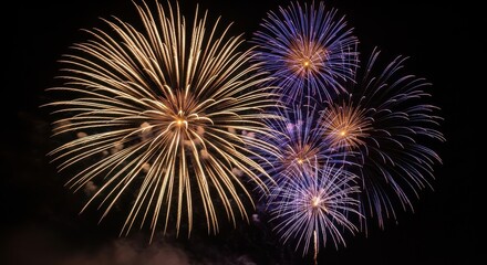 Obraz premium Fireworks Explosion Bright Night Sky