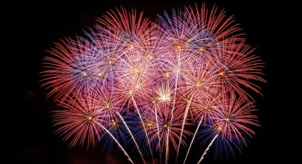 Obraz premium Colorful Fireworks Exploding Night Sky