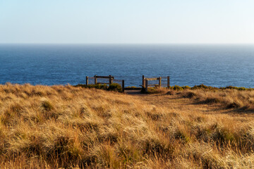 A serene coastal observation deck overlooks the expansive blue ocean with golden, dry grasses in the foreground under a clear sky.