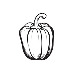 Vector illustration of a large pumpkin with a round shape and bright orange color.
