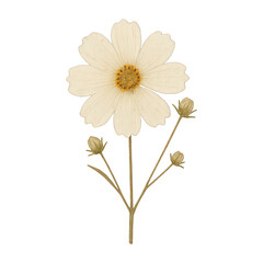 Obraz premium PNG Delicate white flower illustration