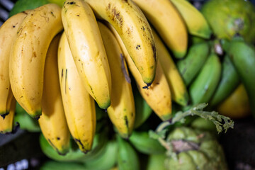 Frutas tropicales frescas en finca colombiana con tomates, mango, mandarinas, naranjas y bananos © Sebast