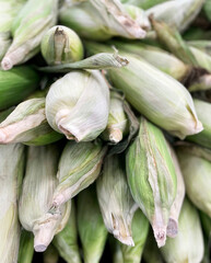 Stacked Corn Pattern