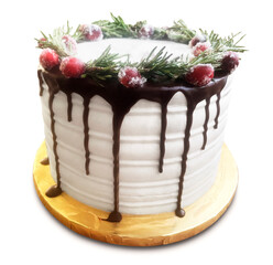 Chocolate Winter Holiday Cake