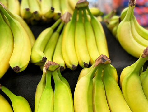 Rows of Bananas