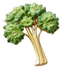 Obraz premium PNG Brooch of broccoli vegetable produce plant.